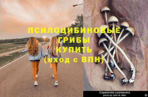 герыч Михайловск